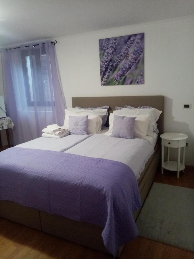 Rooms Serafin Motovun Eksteriør bilde